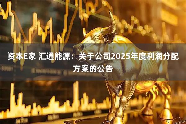 资本E家 汇通能源：关于公司2025年度利润分配方案的公告