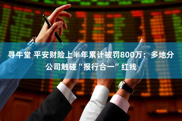 寻牛堂 平安财险上半年累计被罚800万：多地分公司触碰“报行合一”红线