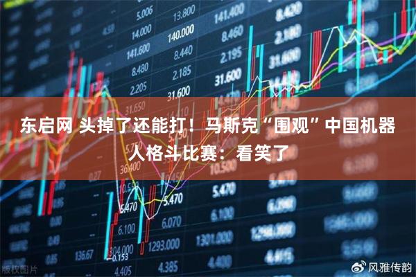 东启网 头掉了还能打！马斯克“围观”中国机器人格斗比赛：看笑了